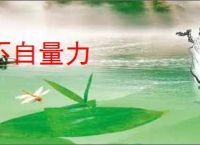不自量力
