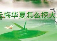 无悔华夏怎么挖大唐文物,无悔华夏大唐文物挖掘攻略