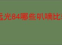 远光84哪些叭嘀比较好用,远光84新手选择推荐