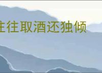 往往取酒还独倾