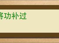 将功补过