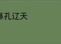 鼻孔辽天