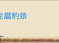 龙眉豹颈