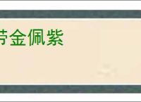 带金佩紫