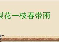 梨花一枝春带雨
