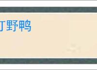 打野鸭