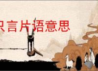 只言片语意思