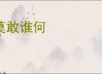 莫敢谁何