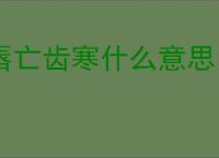 唇亡齿寒什么意思