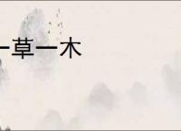 一草一木