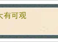 大有可观