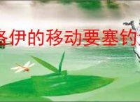 洛伊的移动要塞钓鱼王洛伊怎么玩,洛伊的移动要塞钓鱼王洛伊活动指南