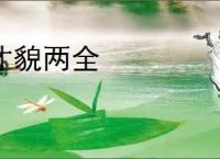 才貌两全