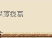 攀藤揽葛