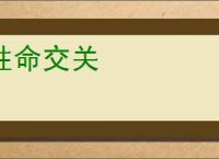 性命交关
