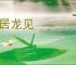 尸居龙见