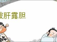 披肝露胆