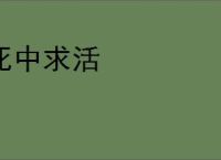 死中求活