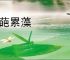 重葩累藻