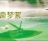 魂牵梦萦