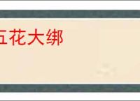 五花大绑
