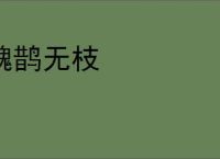 魏鹊无枝