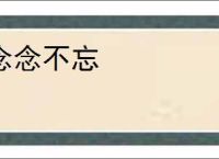 念念不忘