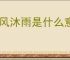 栉风沐雨是什么意思