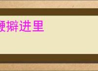 鞭擗进里