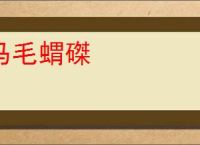 马毛蝟磔