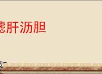 摅肝沥胆