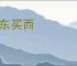 买东买西