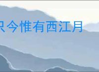 只今惟有西江月