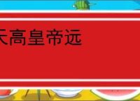 天高皇帝远