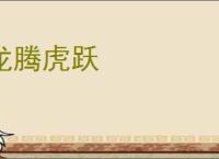 龙腾虎跃