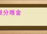 难分难舍