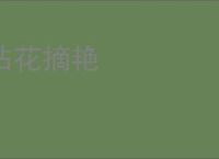 拈花摘艳