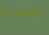 可见一斑的意思