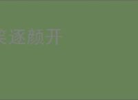 笑逐颜开