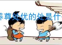 养尊处优的处是什么意思