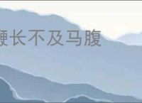 鞭长不及马腹