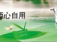 师心自用