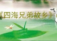 《四海兄弟故乡》ue5报错解决方法