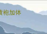 黄袍加体