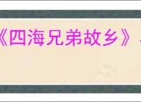 《四海兄弟故乡》马坦萨捕鱼季报纸位置介绍