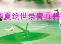 华夏绘世录青霖碧落队怎么玩,华夏绘世录青霖碧落队搭配攻略