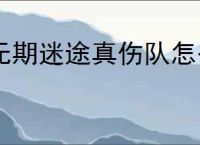 无期迷途真伤队怎么玩,无期迷途真伤队搭配攻略