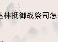 丛林抵御战祭司怎么玩,丛林抵御战祭司装备搭配推荐