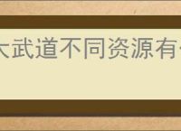 大武道不同资源有什么用,大武道核心资源获取攻略