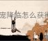 神宠降临怎么获得冒险解密工具,神宠降临全部冒险工具作用一览